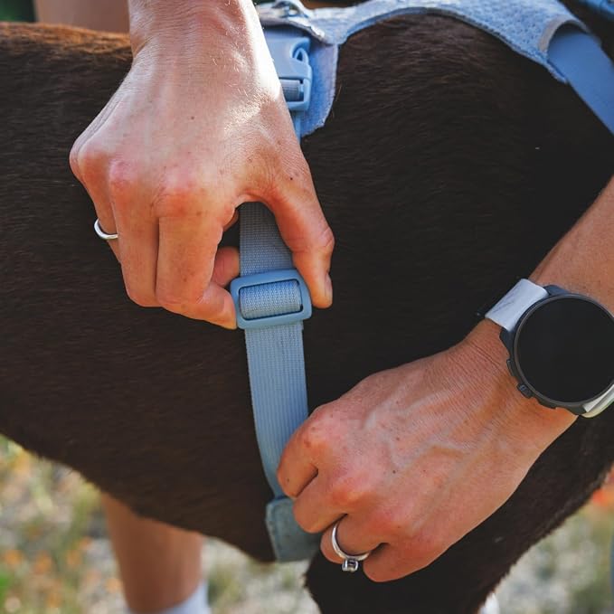 Ruffwear, Front Range Flex Dog Harness, Engineered Knit Construction for Ultimate Fit and Mobility, Lightweight Flexible Everyday Harness with Dual Leash Clips, Deep Teal, Small
