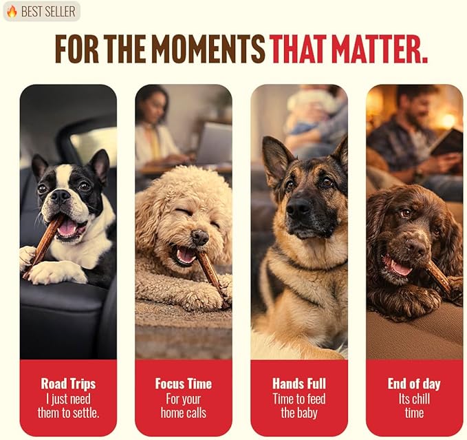 Natural Farm Odor Free Bully Sticks (4 Inch, 10 Pack) for Small & Medium Dogs - 100% Beef Chews for Pups, Non-GMO, Grain-Free, Fully Digestible Long Lasting Dog Treats