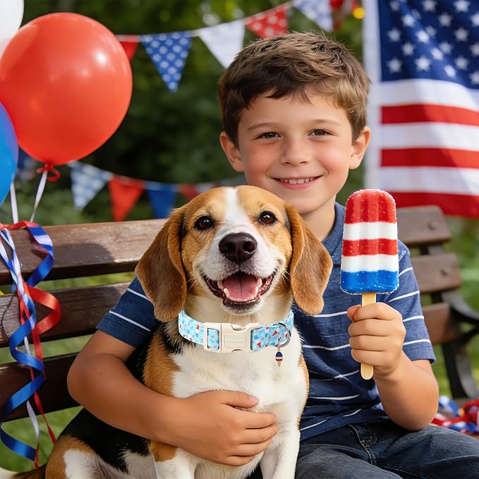 DOGWONG Summer Dog Collar, Blue Popsicle Dog Collar,4th of July Dogs Collars for Large Dogs, Neck 42-66 inches