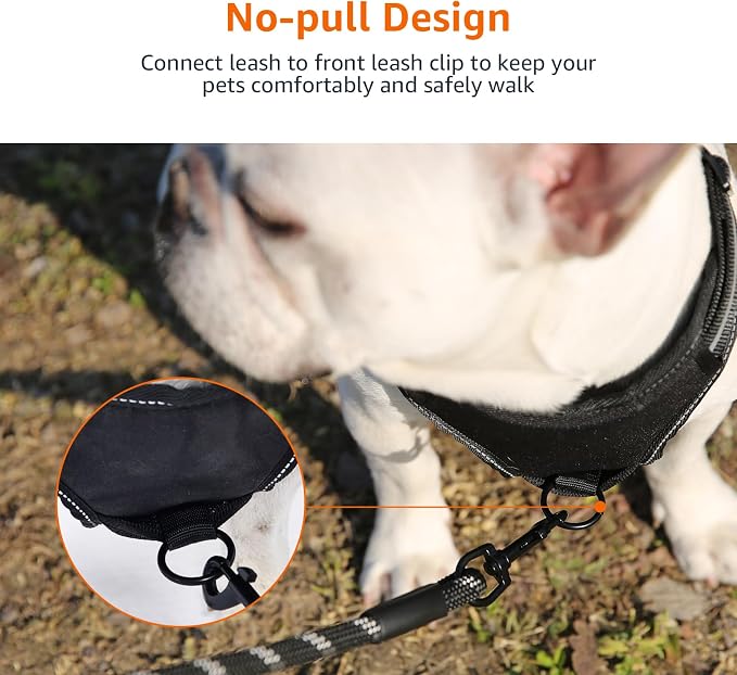 Amazon Basics No-Pull Dog Harness, Soft Padded Adjustable Vest with Reflective Stripes, Large, Black