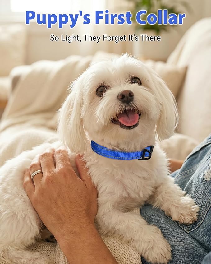 Joytale Small Dog Collar, Durable Double-Sided Reflective Nylon Collar for Night Safety, Adjustable Quick-Release for Active Breeds, Navy Blue, S (3/4" Width)