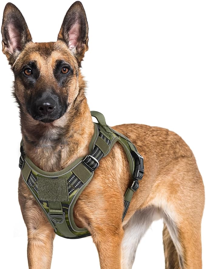 rabbitgoo Dog Harness for Large Dogs No Pull, Tactical Service Pet Vest with Molle and Control Handle, Adjustable and Reflective Military Harness for Easy Walking and Training, Green Camo, XL