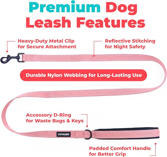 Best Pet Supplies Voyager Reflective Dog Leash or Collar with Neoprene Handle, for Small, Medium, and Large Breed Puppies, Cute and Heavy Duty for Walking, Running and Training - Pink (Leash), S