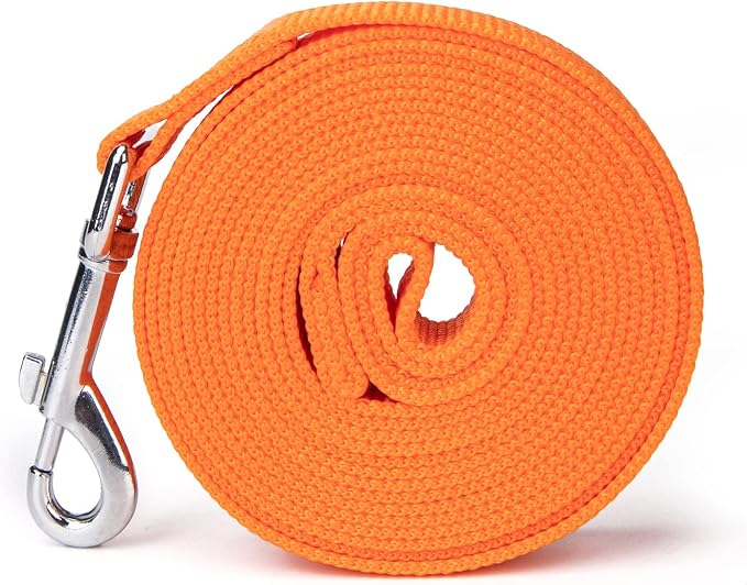 Strong Durable 15ft Nylon Dog Training Leash, 1 Inch Wide Traction Rope, for Small and Medium Dog (Orange, 15 Feet)