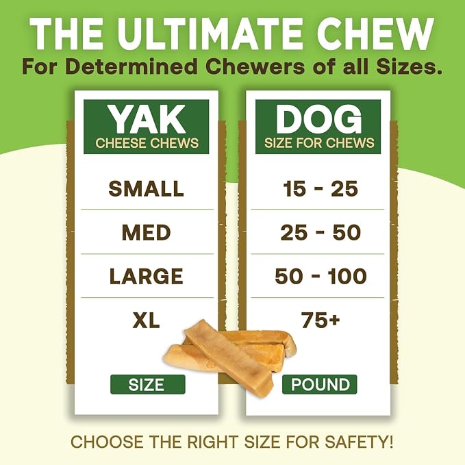 EcoKind Yak Cheese Himalayan Dog Chews, Yak Chews for Medium Dogs, Long Lasting Bone for Aggressive Chewers, 3 Ingredients, Natural High Protein Treats, No Additives, Lactose Free, Medium - 12 Chews