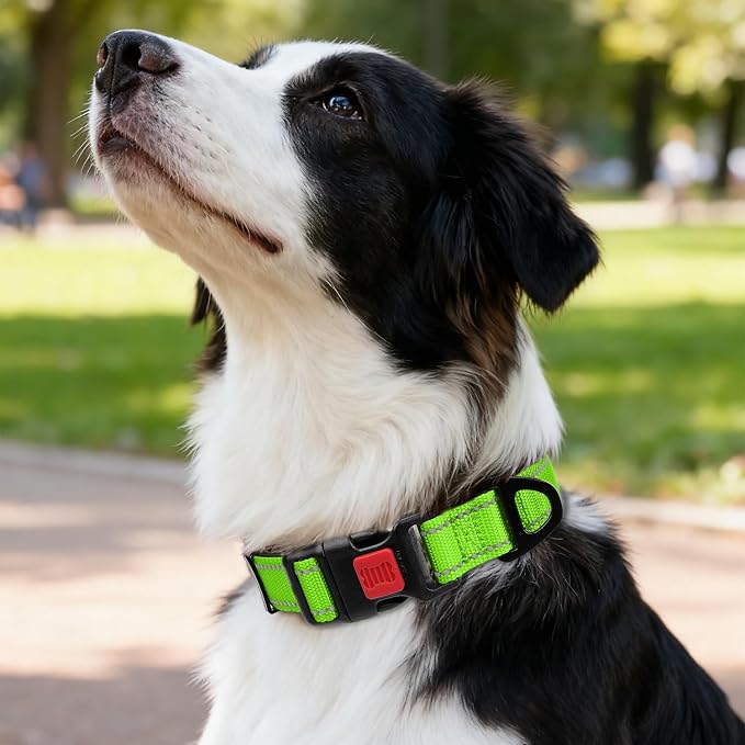 Taglory Reflective Dog Collar for Medium Dogs, Soft Neoprene Padded with Escape-Proof Locking Buckle, Upgraded Zinc Alloy Ring, Adjustable for Walking Female Male, Green,M