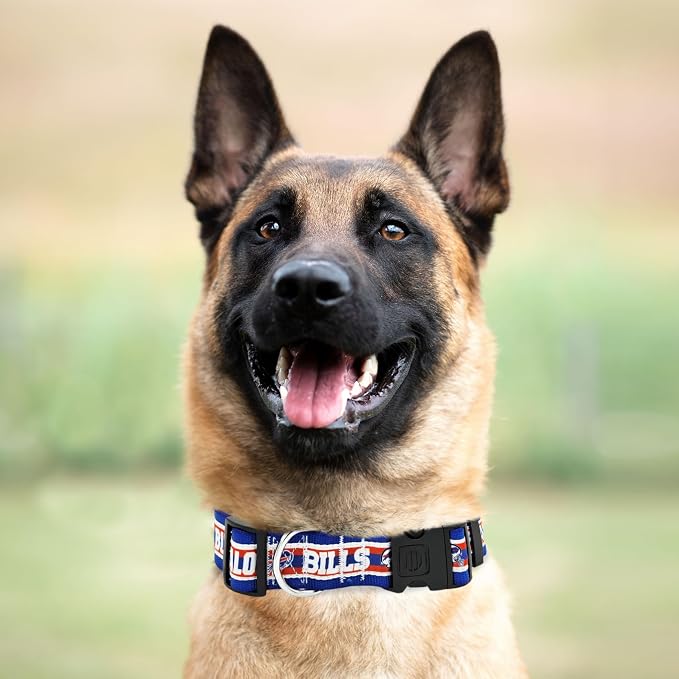Pets First NFL Buffalo Bills Licensed PET COLLAR, Extra Large - Heavy-Duty, Strong, and Durable Dog Collar. Available in 31 Football Teams and 4 Sizes