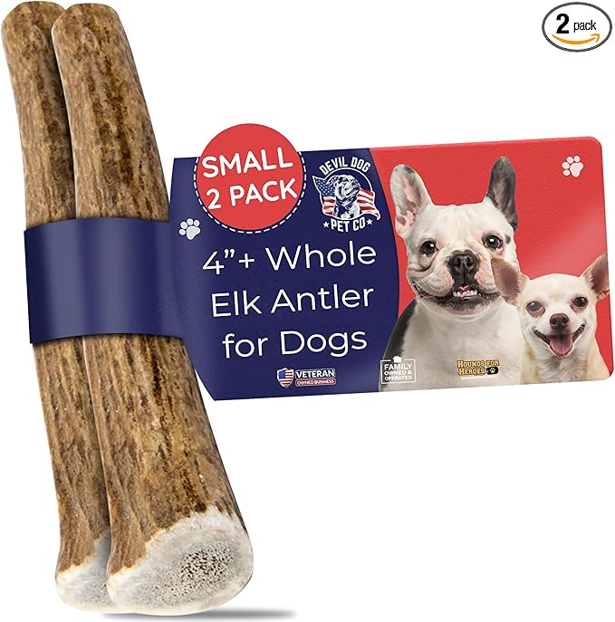 Devil Dog Pet Co. Elk Antlers for Dogs, Natural Dog Chew for Aggressive Chewers - Long Lasting and Odor Free - USA Sourced - Cleaner Teeth, Anxiety & Boredom Relief - Whole Small 4"+ 2 Pack