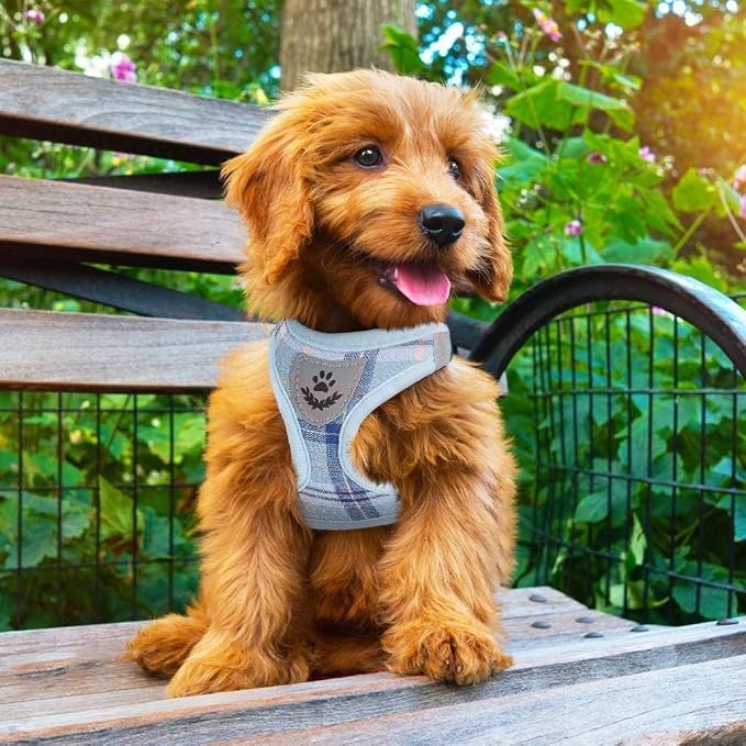 PUPTECK Adjustable Dog Harness Collar and Leash Set Step in No Pull Pet Harness for Small Medium Dogs Puppy and Cats Outdoor Walking Running, Soft Mesh Padded Reflective Vest Harnesses, Blue XL