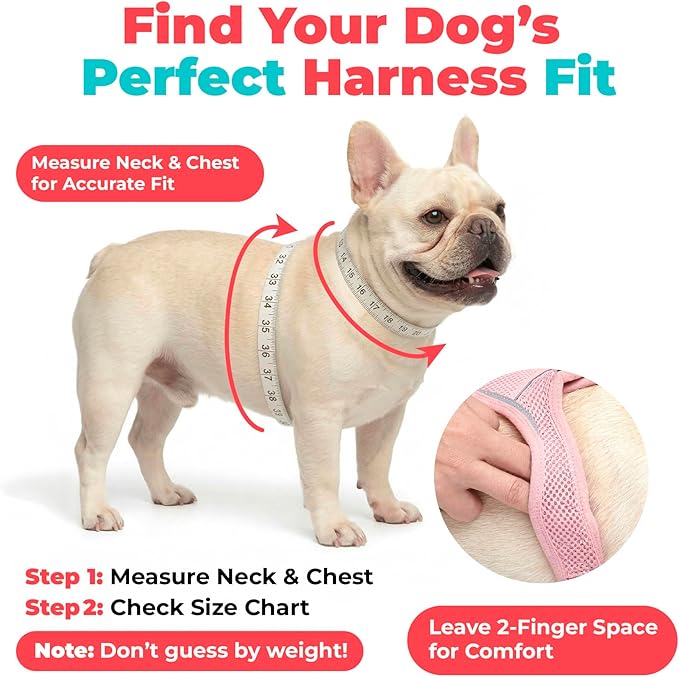 Best Pet Supplies Voyager Step-in Air Harness - All Weather Mesh, Reflective, No Pull Harness for Dogs, Cats - Secure with Hook & Loop Fastener, Buckle, Double D-Rings - Khaki, M