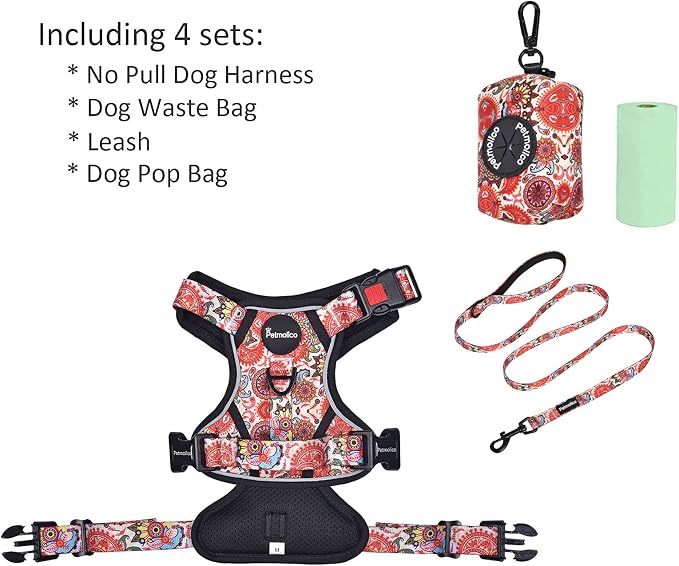 Petmolico No Pull Dog Harness Set with Leash Attachment Easy Control Handle Reflective Harness Vest Small Breed, Puppy Vest and Leash Set with Poop Bag Holder, Medium - Boho Floral