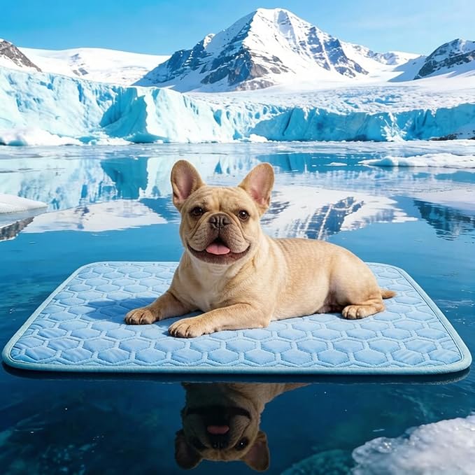 SISROL Cooling Mat for Dogs & Cats, Q-Max>0.5 Arc-Chill Fabric Washable Non-Slip Pet Cooling Pad, Thickened Portable Cooling Bed Mats for Indoor & Outdoor, Small Medium Large Pets