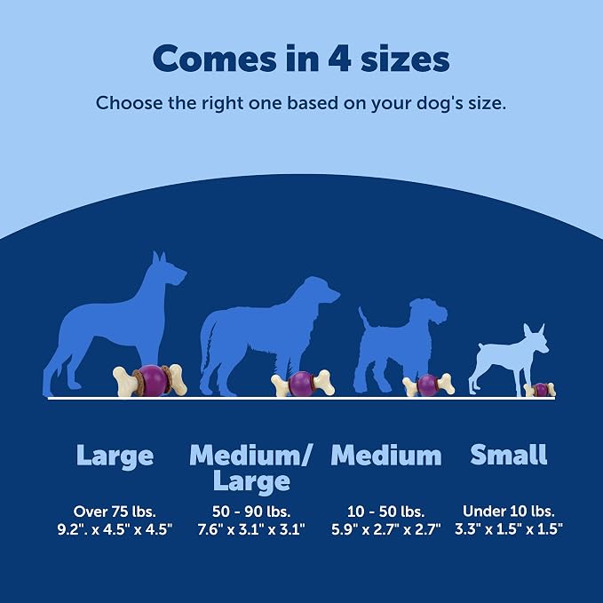 PetSafe Busy Buddy Bouncy Bone, Treat Holding Dog Toy, Small, Best for Dogs Up to 10 Lb.
