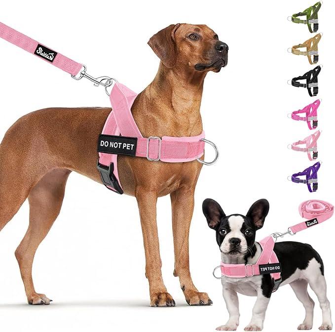 Lukovee No Pull Dog Harness and Leash Set - Adjustable Soft Padded Vest with Front Clip for Easy Control, Reflective Durable Harness for Safe Daily Training Walking for Medium Large Dogs (XL, PI)