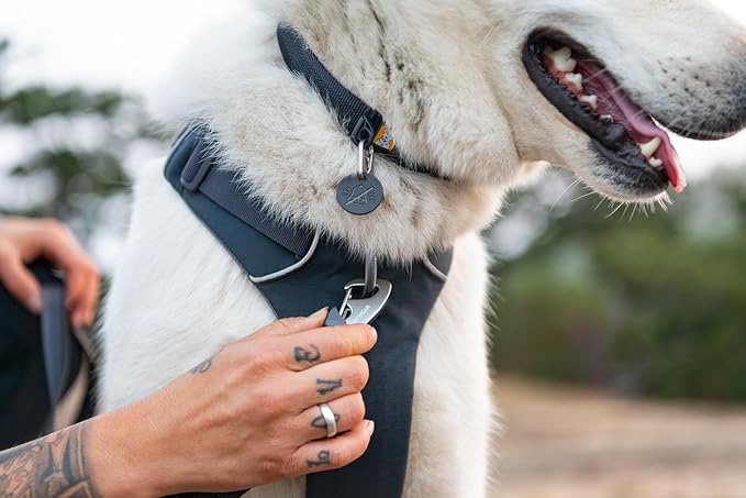 Ruffwear, Front Range Dog Collar, Adjustable Tubelok Webbing, Lightweight, Side Release Buckle, Aluminum V-Ring, Durable for Everyday Use, Blue Pool, 14"-20"
