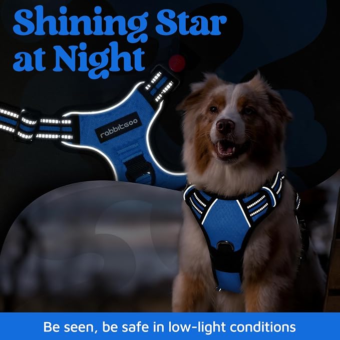 rabbitgoo Dog Harness Small Sized, 3 Buckles Easy On & Off No Pull Pet Vest, Soft Padded Walking Pet Harness with Control Handle, Adjustable and Reflective, Blue, S