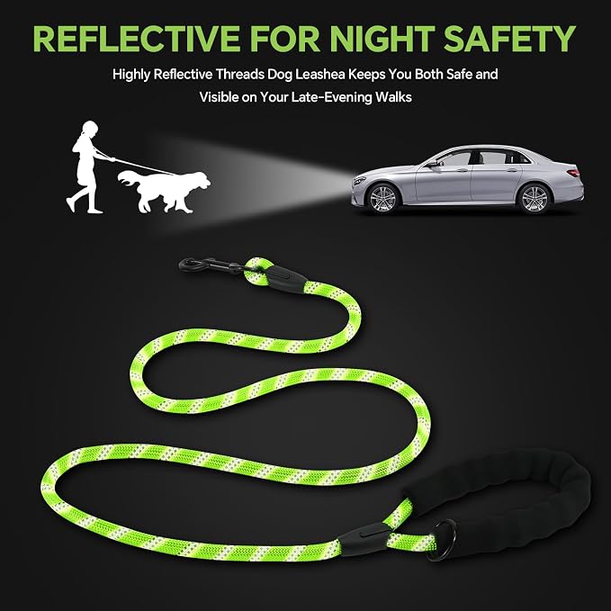 Heavy Duty Dog Leash - 4.9 FT for Large and Small Dogs - Strong Nylon, Comfortable Handle, Reflective Stitching - Ideal for Walking, Training, and Outdoor Activities, Green