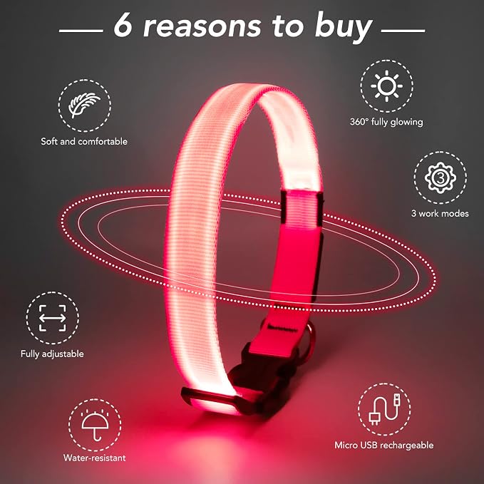 Light Up Dog Collar, Rechargeable USB Collar, Waterproof, Luminous LED Collar, Adjustable, Super Bright, Night Walking for Small Medium Large Dogs, Pink, L