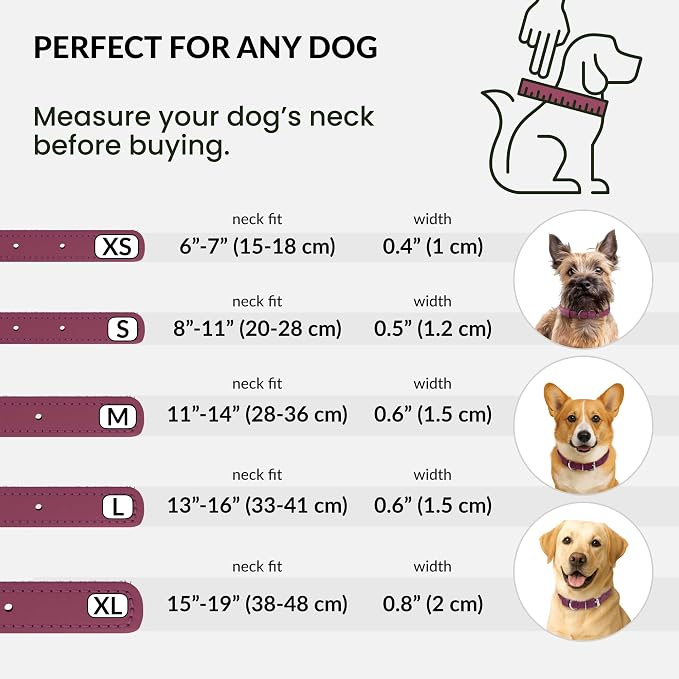 CollarDirect Reflective Rolled Leather Dog Collar, Soft Padded Round Puppy Collar, Handmade Genuine Leather Collar Dog Small Large Cat Collars 13 Colors (6-7 Inch, Pink Reflective)