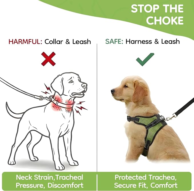 No Pull Reflective Adjustable Dog Harness with Handle- Comfortable Soft All Weather Mesh, Easy On Puppy Harness for Small Medium and Large Dogs (Green) Small