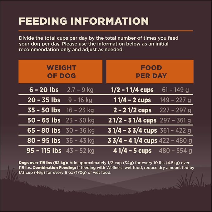Wellness CORE Adult Dry Dog Food, Grain Free Kibble, Natural, High Protein, Turkey and Chicken Recipe, 35 lb Bag