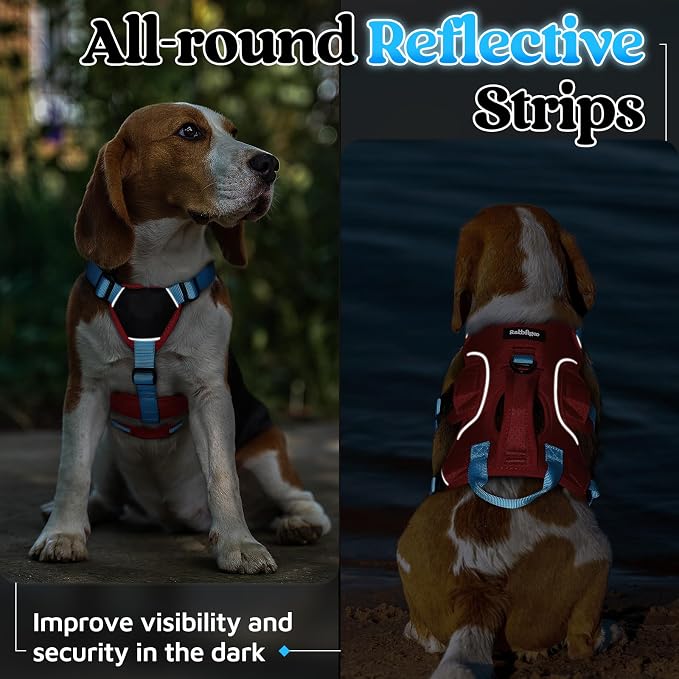 rabbitgoo Escape Proof Dog Harness Large Dogs, Soft Padded Full Body Pet Harness, Reflective Adjustable No Pull Vest with Lift Handle and Leash Clip for Walking Hiking Training, Blue & Red, S