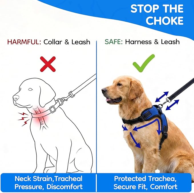 No Pull Reflective Adjustable Dog Harness With Handle- Comfortable Soft All Weather Mesh, Easy On Puppy Harness For Small Medium and Large Dogs (Blue) X-Large