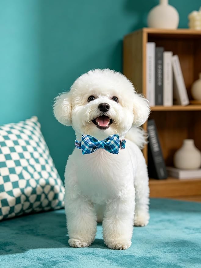 Maca Bates Plaid Blue Dog Collar with Checkered Bow Bowtie for Grid Dogs Bows Tie Adjustable Breakaway Collars Birthday Gift Colar for Small Medium Large XL Girl Boy Male Female Puppy Pets