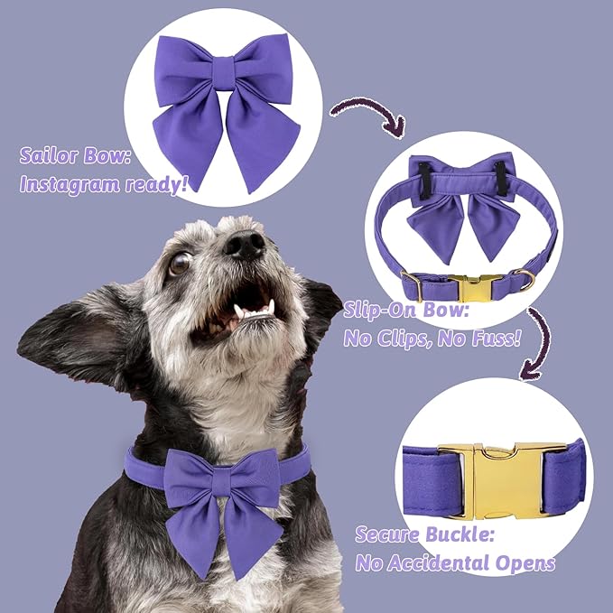 Maca Bates Purple Dog Collar with Cute Petunia Solid Sailor Bow Tie,Medium Girl Boy Dogs,Girly Adjustbale Durable Breakaway Soft Collars with Bowtie for Female Male Puppy,Pet with Metal Buckle