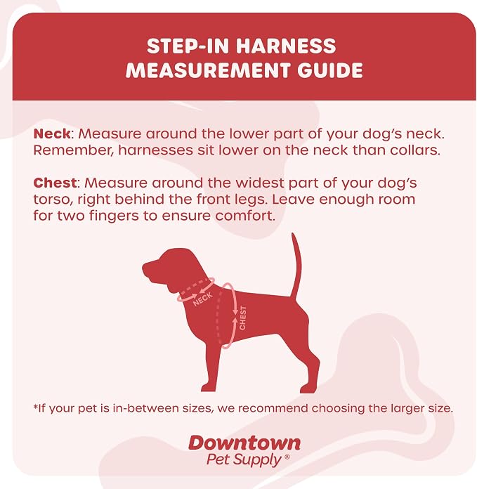 Downtown Pet Supply Step-in Dog Harness – No Pull, Adjustable Padded Mesh with Reflective Trim, Secure Buckle Strap – Comfortable & Breathable Small Dog Harness, Medium, Space