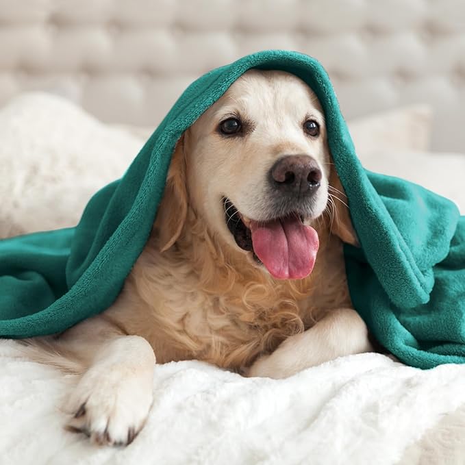 BEDELITE Fleece Blanket Twin Size Emerald Green Throw Blankets for Couch & Bed, Luxury Plush Cozy Fuzzy Blanket 60x80 inches, Super Soft Warm Lightweight Throw Blanket for Travel Camping
