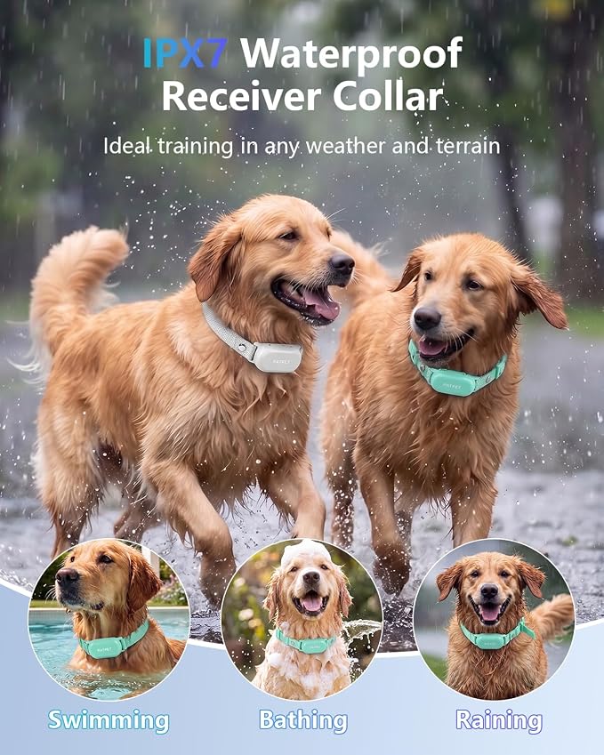 PATPET Shock Collar for Dogs(10-120lbs), 4000ft Rechargeable IPX7 Waterproof Training Collar with Remote for 2 Dogs- Electric Dog Collar for Small Medium Large Dogs 2 Packs