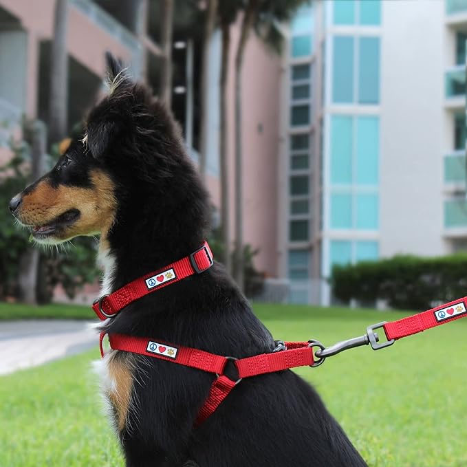 Pawtitas Solid Step-in Dog Harness – Adjustable No-Pull Vest for Puppies to Seniors, Safe & Comfortable L Teal