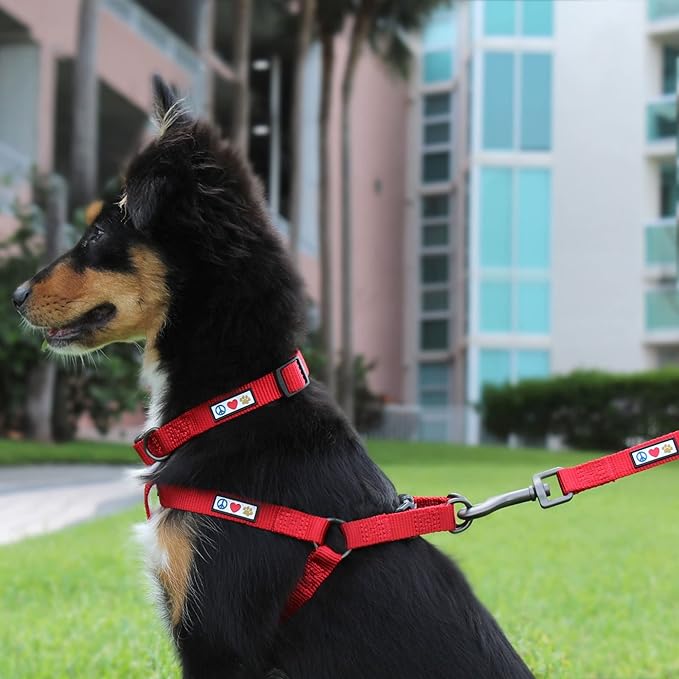 Pawtitas Solid Step-in Dog Harness – Adjustable No-Pull Vest for Puppies to Seniors, Safe & Comfortable S Pink