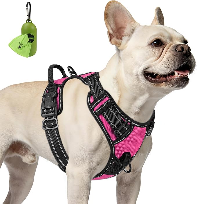 Joytale No Pull Dog Harness for Small Dogs, Reflective Pet Vest with Front Clip, Adjustable Soft Padded Harnesses with Easy Control Handle for Training and Walking, Hot Pink, S