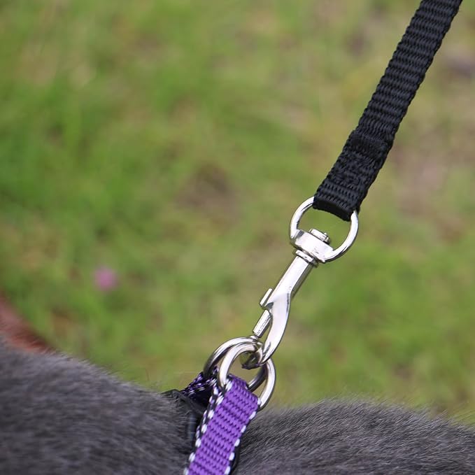 AMAGOOD 6 FT Cat Leash, Strong and Durable Traditional Style Leash with Easy to Use Collar Hook,Cat Lead Great for Cats (3/8 in x 6 ft,Black and Blue(2-Pack))