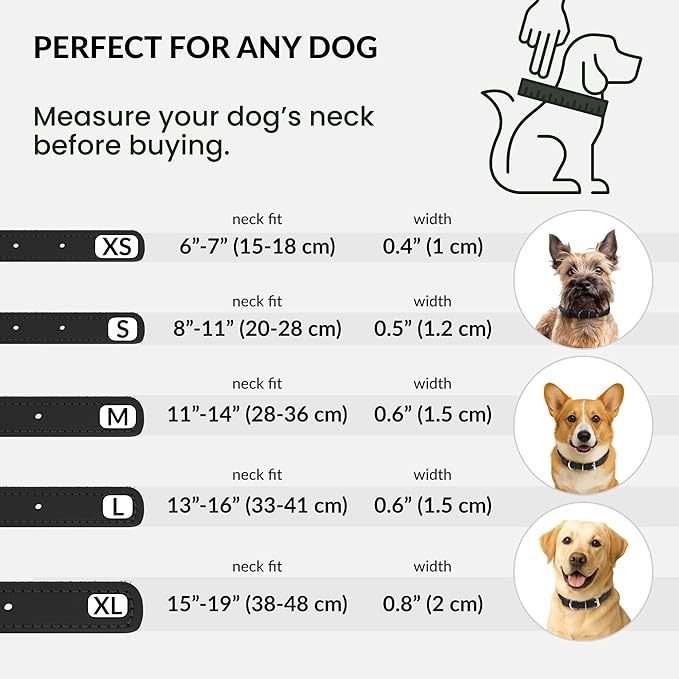 CollarDirect Rolled Leather Dog Collar, Soft Padded Round Puppy Collar, Handmade Genuine Leather Collar Dog Small Large Cat Collars 13 Colors (11-14 Inch, Black Smooth)