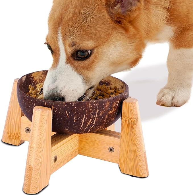 Raised Dog Bowl for Small Dogs - Elevated Natural Coconut Shell Bowl with Wood Stand - 20-oz Capacity