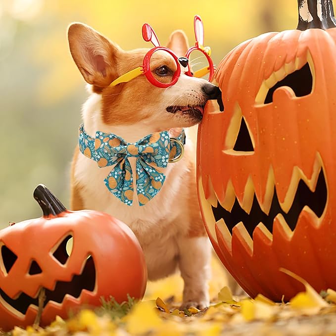Unique style paws Cartoon Dog Collar with Bowtie Autumn Halloween Puppy Collar with Green Pumpkin for Small Medium Large Boys Girls Dogs