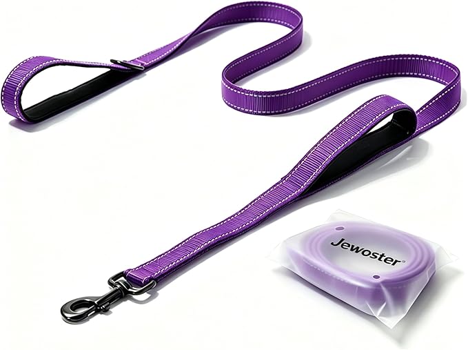 Heavy Duty Dog Leash - 2 Handles by Padded Traffic Handle for Extra Control, 6foot Long - Perfect for Medium to Large Dogs (Purple, 6 ft)