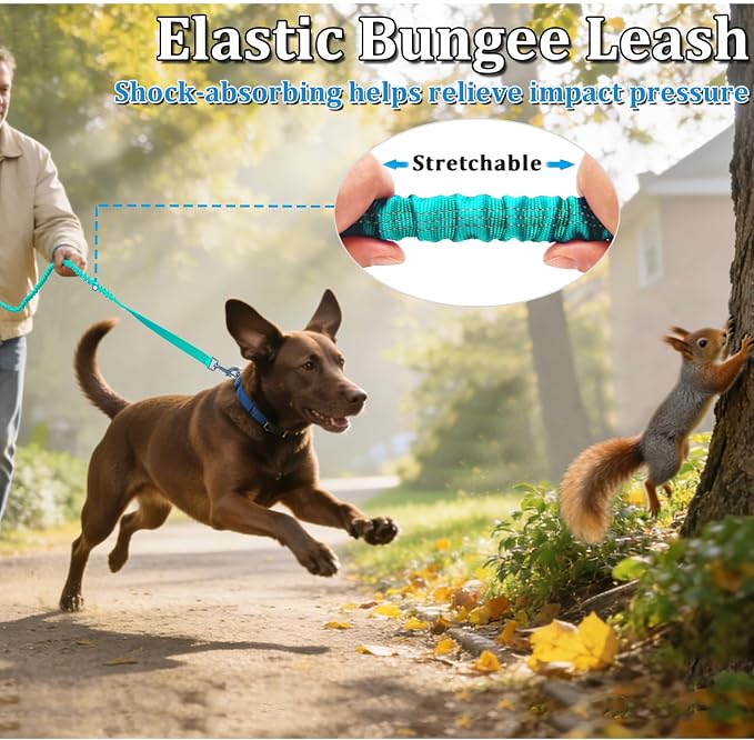WYuZe 4 FT Bungee Dog Leash for Strong Small Dogs - Reflective, Shock Absorbing, Elastic Nylon Leash with Padded Handle for Safety Comfort No Pull Walking Training (Teal, 3/4"-Wide)