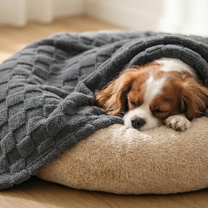 David's Home Large Dog Blankets Washable Pet Bed Cover, Soft Fluffy Fuzzy Cat Puppy Blanket with Premium 300GSM Fleece for Pet Kitten Doggy, Dark Grey, 50x60IN