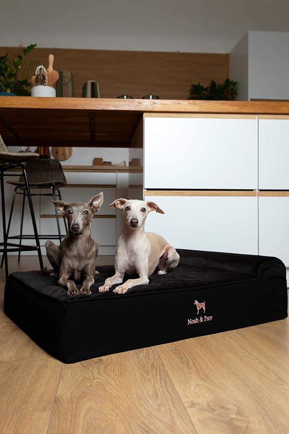 NOAH & PAW Large Dog Bed, 35x25x8.7 Inch, Orthopedic Dog Beds, Eggshell Memory Foam Infused with Cooling Gel, Water Resistant, Machine Washable, Includes Inner Cover (Denim Collection)