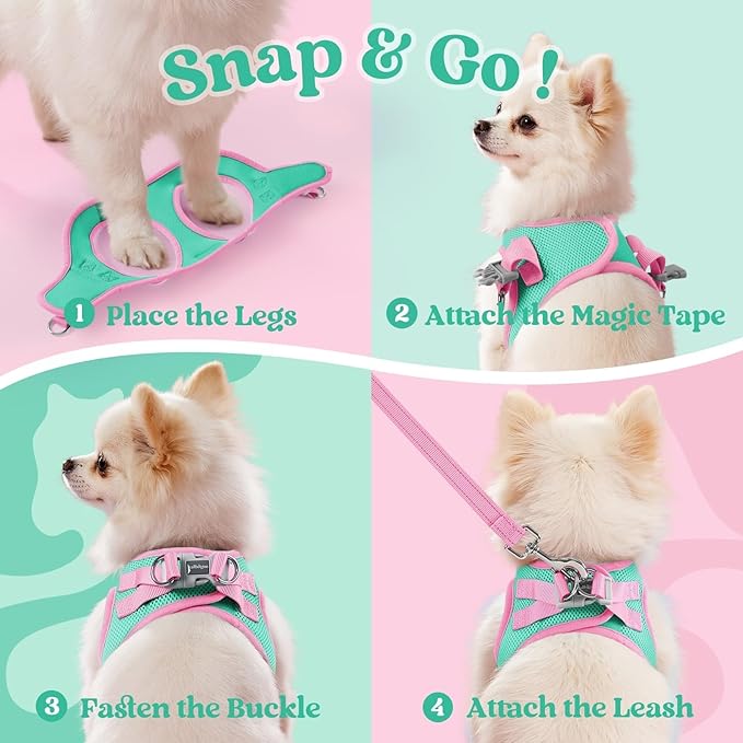 rabbitgoo Dog Harness Small Sized and Leash Set, Step-in Breathable Pet Harness, Soft Walking Reflective Puppy Vest for Small Dogs, Teal & Pink, L