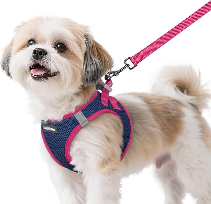 rabbitgoo Dog Harness Small Sized and Leash Set, Step-in Breathable Pet Harness, Soft Walking Reflective Puppy Vest for Small Dogs, Blue & Rose Red, S