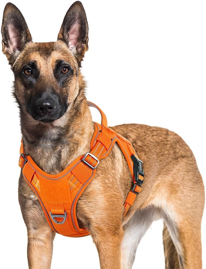 rabbitgoo Tactical Dog Harness for Large Dogs No Pull Adjustable Military Vest with Handle MOLLE Reflective Heavy Duty Dog Vest for Walking Training Hunting Outdoor Working Medium Size Dog Orange XL