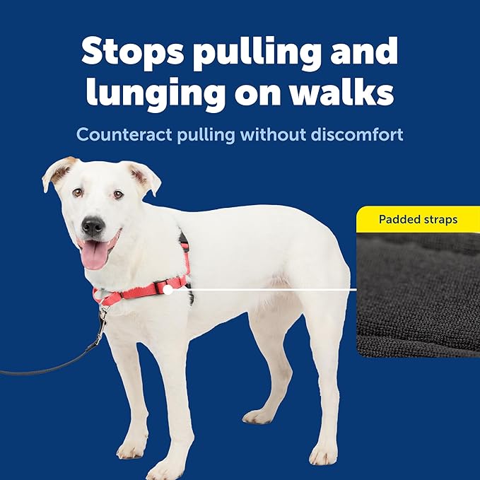 PetSafe Easy Walk Deluxe Dog Harness, No Pull Dog Harness Perfect for Leash & Harness Training Stops Pets from Pulling and Choking on Walks Medium/Large, Rose
