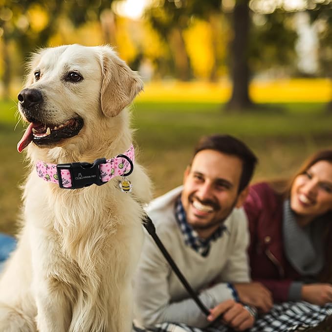 ARING PET Bee Dog Collar, Cute Spring Summer Pink Yellow Honeybees Pet Collars for Puppy Small Medium Large Boy Girl Dogs-L