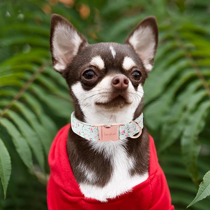 Unique style paws Dog Collar Metal Buckle Green Flowers Collar Gift Durable Cute Collar for Small Medium Large Boys Girls Dogs