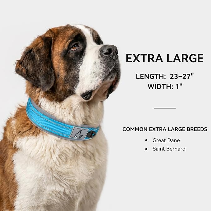 Joytale Dog Collar for Extra Large Dogs, Neoprene Padded and Adjustable, Reflective Wide Heavy Duty Pet Collars with Durable Metal Belt Buckle for Walking, Sky Blue, XL